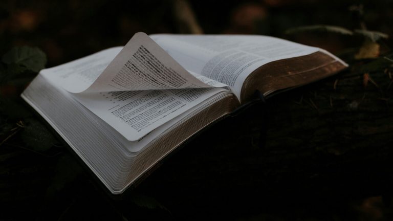 Apresentação do livro “Renascer em Alcoitão”