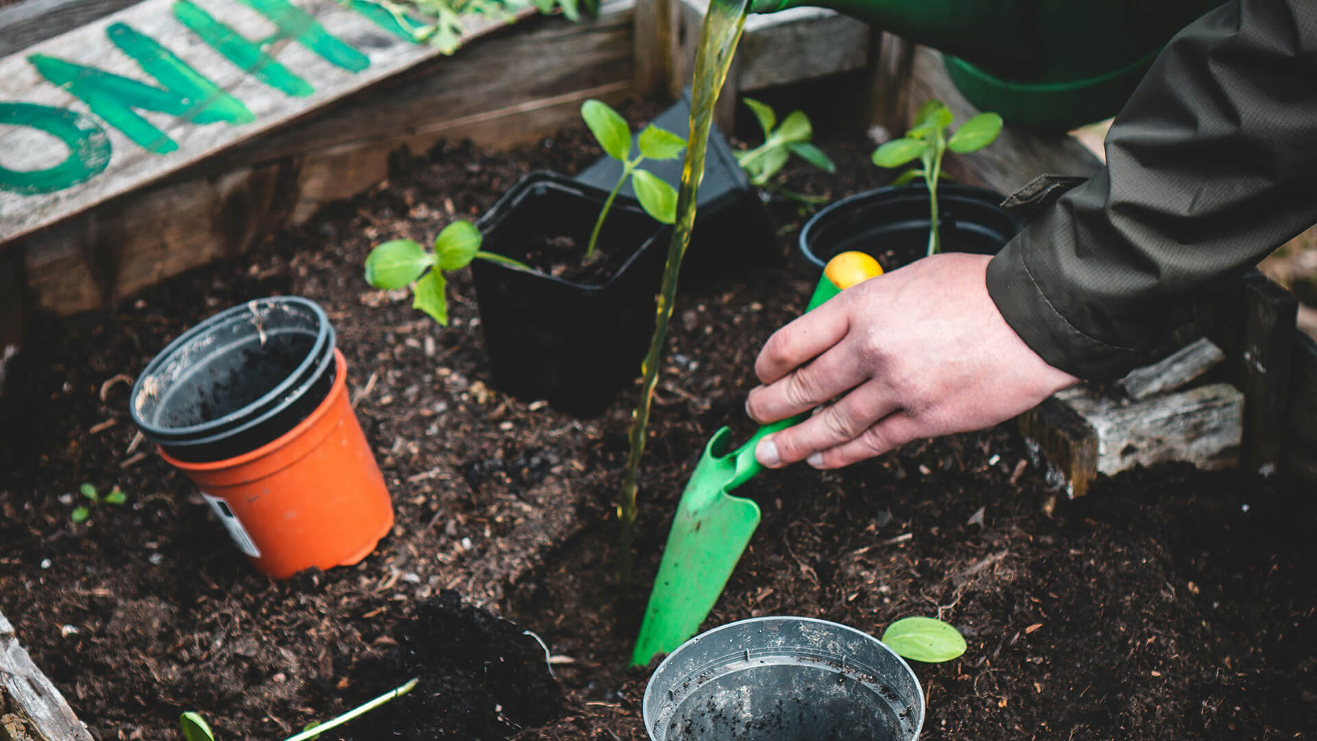 Quinta Pedagógica | Workshop de Plantas Medicinais