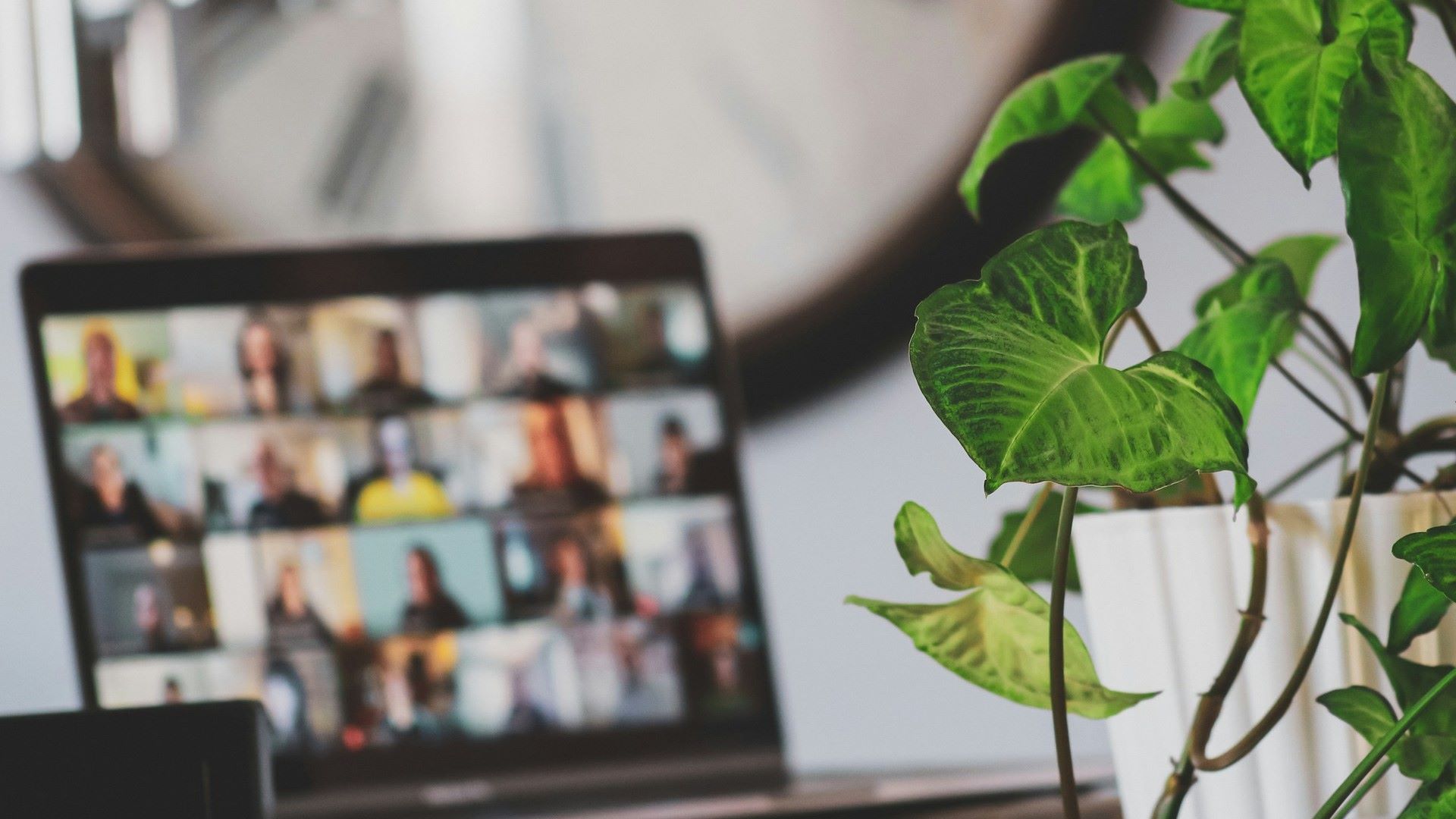 Computador exibindo uma videoconferência com várias pessoas